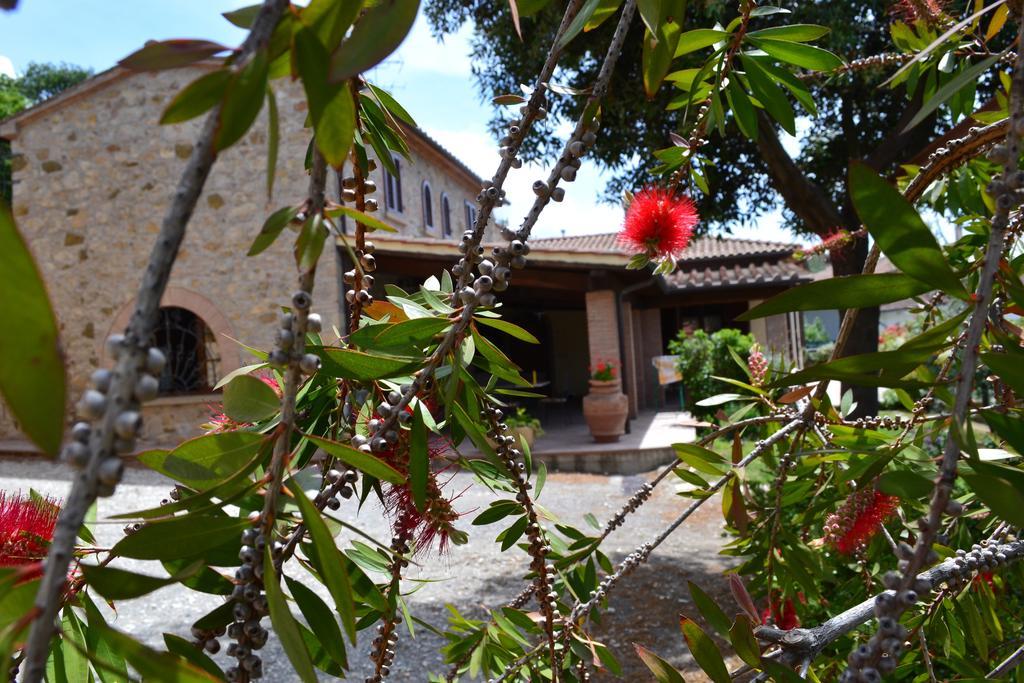 Agriturismo La Ghiraia Santa Luce Room photo