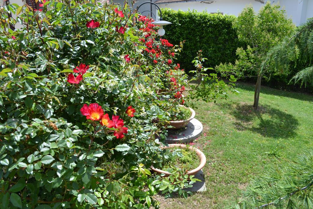 Agriturismo La Ghiraia Santa Luce Exterior photo